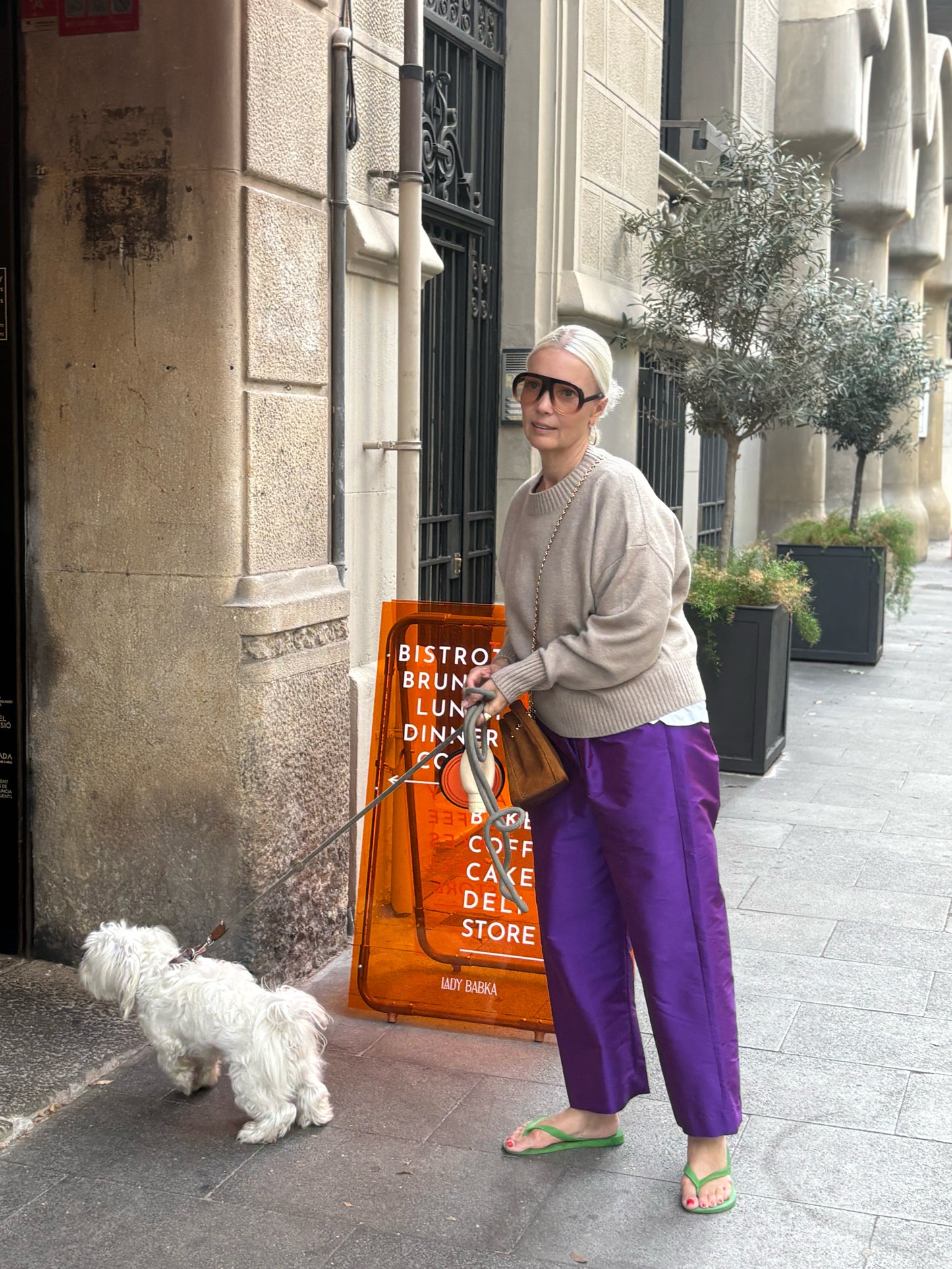 Taft Pants | Purple